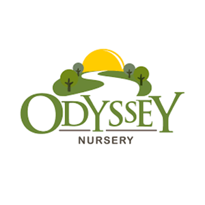 Odyssey Nursery