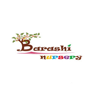 Barashi Nursery